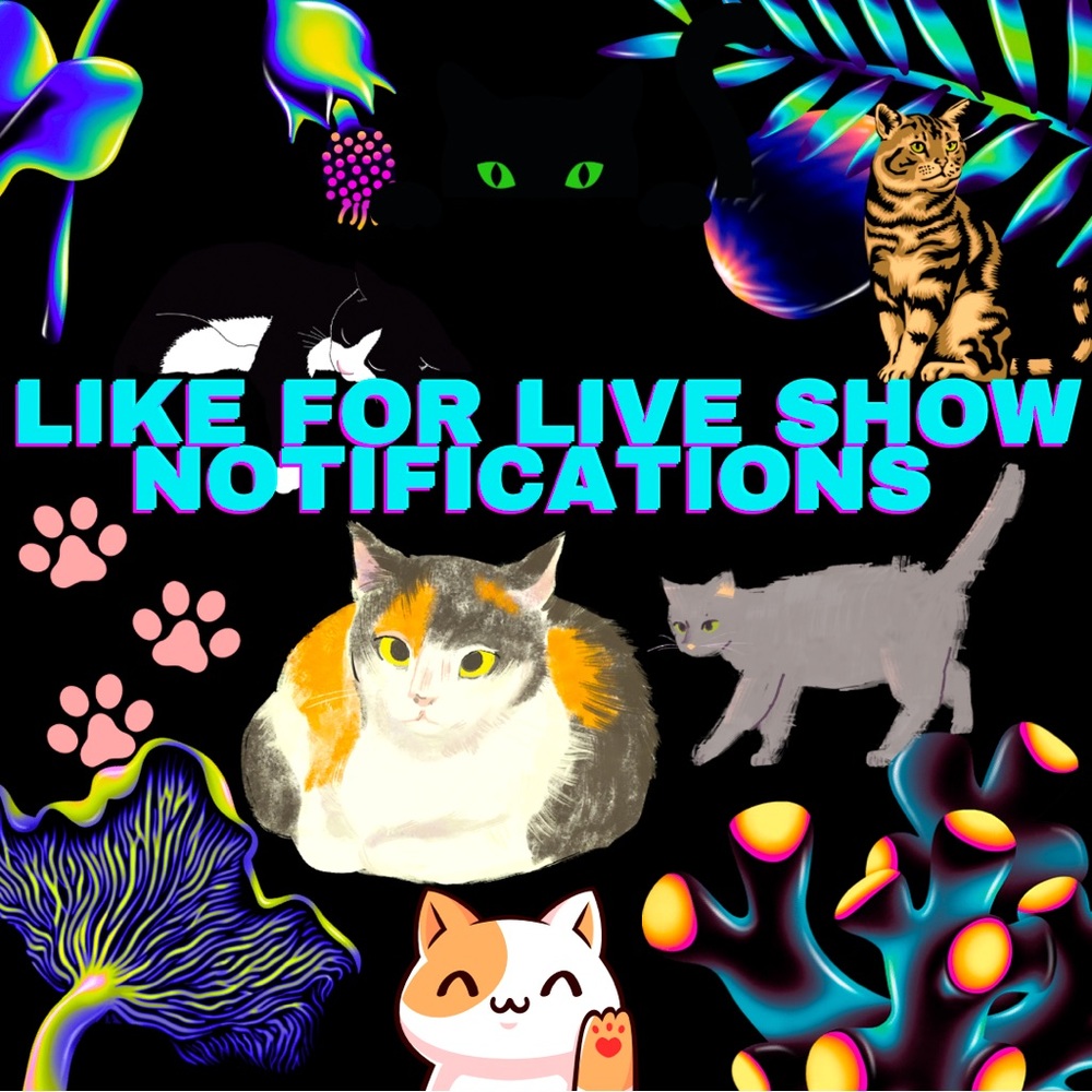 Live Show Notifications 🔔 🐈